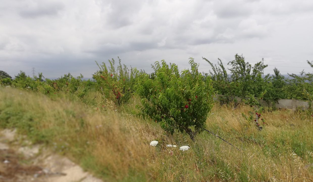 IMG_20180621_113146_1_resized_20200527_070137994