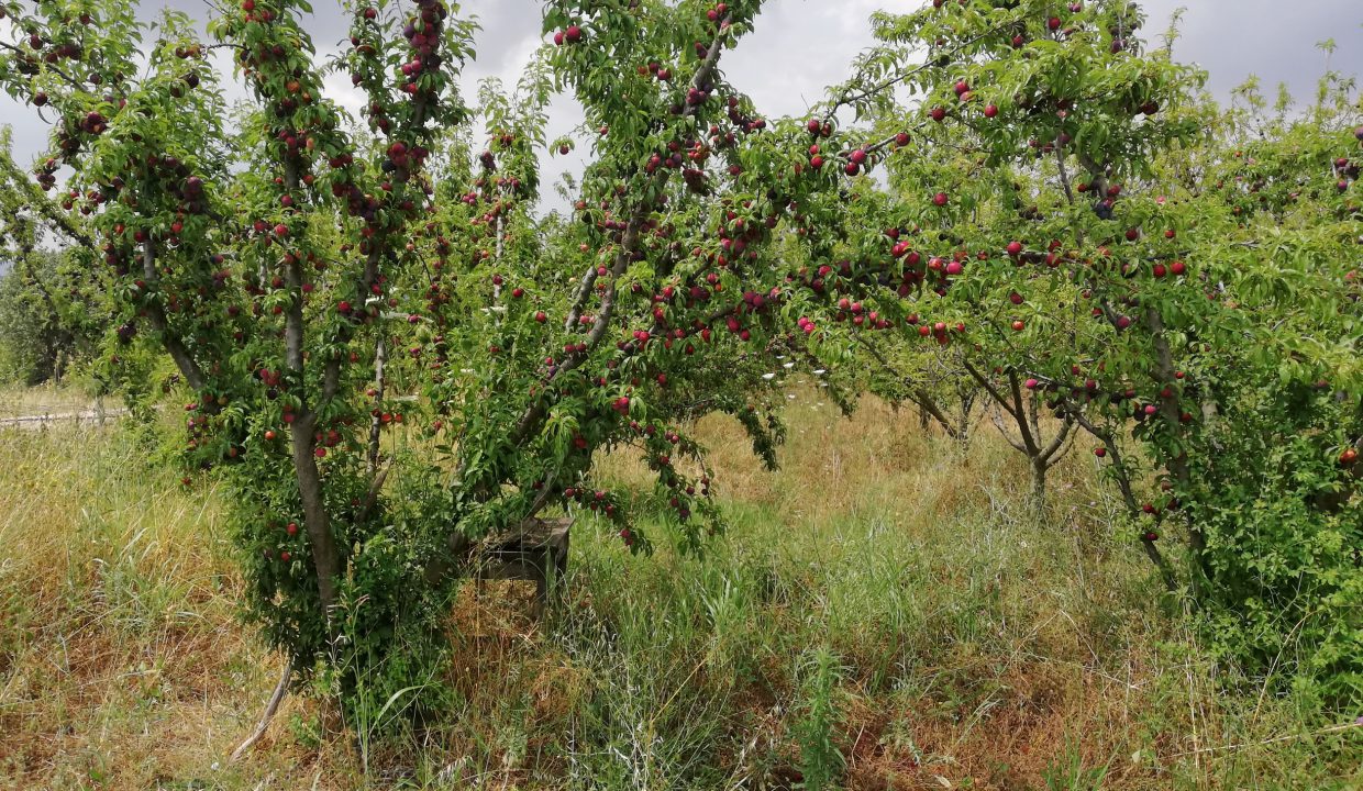 IMG_20180621_114812_resized_20200527_070140407